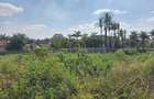 Land in Runda - 9