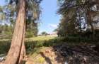 Land at Karen - 2