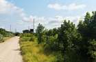 Land at Shanzu - 13