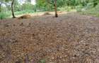 Land in Watamu - 3