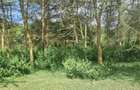 5.5 ac Land in Naivasha - 3