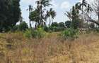 Land in Kilifi - 9