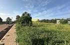 0.25 ac Land in Tatu City - 1