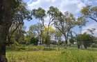 1 ac Land in Karen - 1