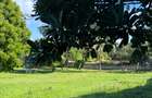 2 ac Land at Kilifi Bofa Beach - 9