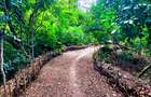 8,093.72 m² Land at Mtwapa Creek Aloo Drive - 10