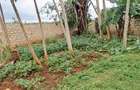 3 Bed House with En Suite at Tiwi South Coast - 5