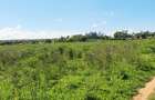 Land at Vipingo - 4
