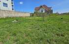 0.125 ac Residential Land at 2Nd Avenue - 3