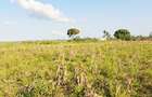 Land in Kilifi - 13