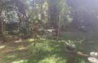 2 Bed House with En Suite in Karen - 11