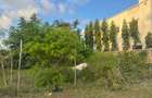 0.25 ac Land in Vipingo - 11