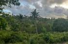 0.6 ac Land at Ls219 - 2