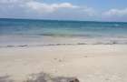 Land at Diani - 11