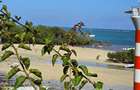 1 Bed Apartment with En Suite at Mtwapa - 8