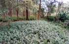 Land at Upper Matasia - 5