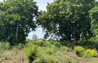 8,093.72 m² Land at Diani 3Rd Row Beach - 2