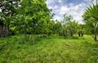 22 ac Land at Kondutsi - 4