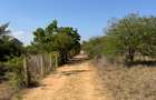 175 ac Land at Kilifi Creek - 14