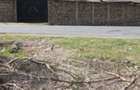 0.10 ha Residential Land at Rimpa Road - 9