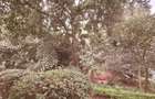 1 ac Land in Spring Valley - 6