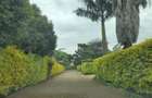 5 Bed House with En Suite at Runda Evergreen - 2