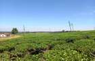 250 ac Land at Kiambu - 2
