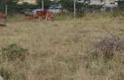 0.123 ac Land in Kiserian - 2