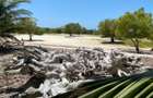 Land at Funzi Island - 3