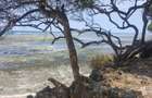 866,058 m² Commercial Land at Vipingo Beach - 4