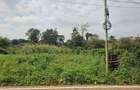 0.365 ac Land at Mushroom Road - 10