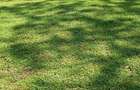 0.5 ac Residential Land at Kirawa Rd - 3