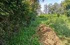 1.1 ac Land in Karen - 2