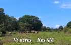 Land at Vipingo - 7