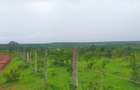 21 ac Land at Mavueni Mariakani Northern By - Pass Road - 1