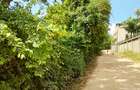Land at Diani Beach Road - 1