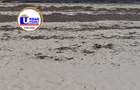 Land in Watamu - 5
