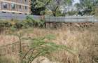 Land at Kabarnet Rd - 3