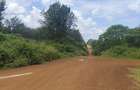 1,000 m² Residential Land in Tatu City - 8