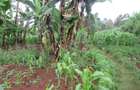 Residential Land at Gacharage Junction - 4
