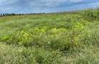 Commercial Land at Kitengera - 1