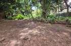 Land in Hurlingham - 12
