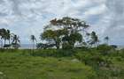 1 ac Land at Kikambala - 12