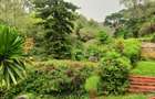 4 Bed House with En Suite in Muthaiga - 11
