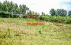 0.25 ha Commercial Land at Ondiri - 5