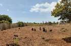 Land in Kikambala - 1