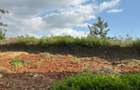 0.125 ac Residential Land at Runda - 16