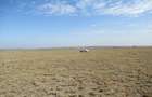 Land at Off Kiserian-Isinya Rd - 5
