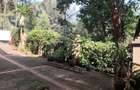 Furnished 2 Bed Apartment with Backup Generator in Kitisuru - 6