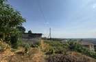 0.5 ac Residential Land in Rironi - 2